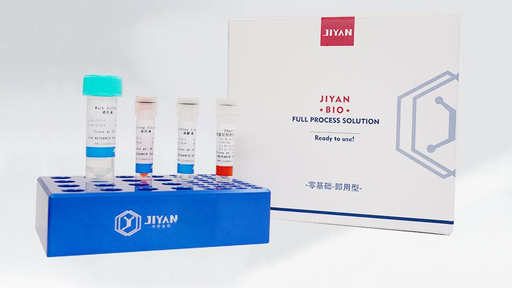 SE-Gel 类器官专用包埋胶vs传统琼脂糖,三维培养材料的革新与应用