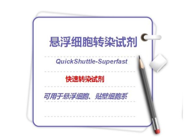 悬浮细胞<i style='color:red'>转染试剂</i>-​QuickShuttle-Superfast-快速<i style='color:red'>转染试剂</i>​