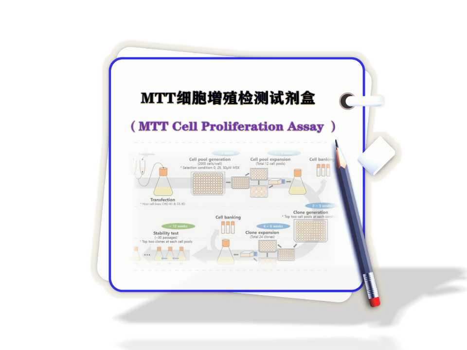 MTT 细胞增殖检测试剂盒