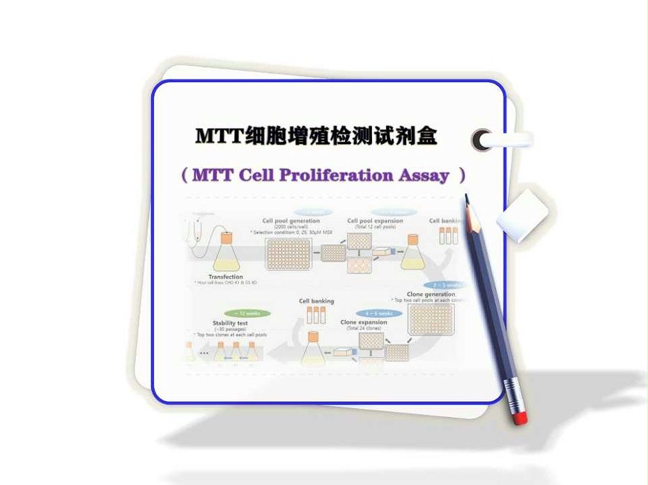 MTT细胞增殖检测试剂盒