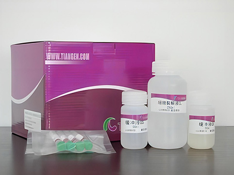 天根普通琼脂糖凝胶DNA回收试剂盒-DP209