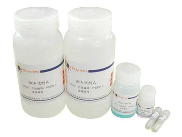 碧云天BCA蛋白定量试剂盒P0009