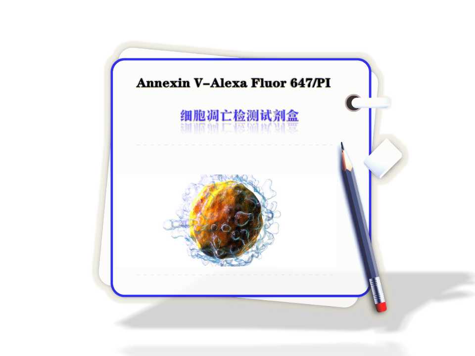 Annexin V-FITC 早期凋亡检测
