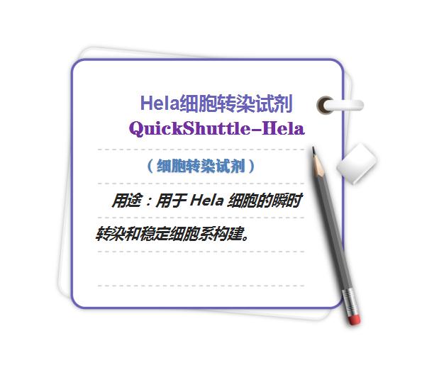 悬浮细胞电穿孔转染法实验步骤