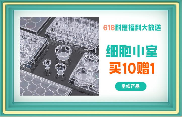 细细胞共培养小室