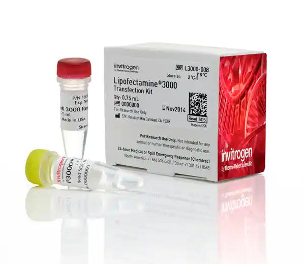 LIP3000细胞转染试剂