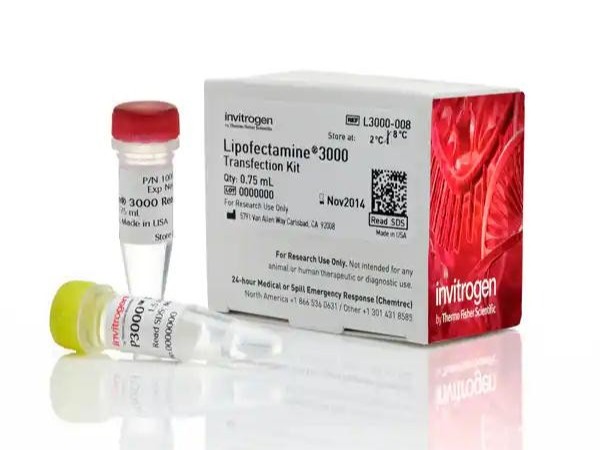 Lipofectamine 3000 转染试剂-LIP3000