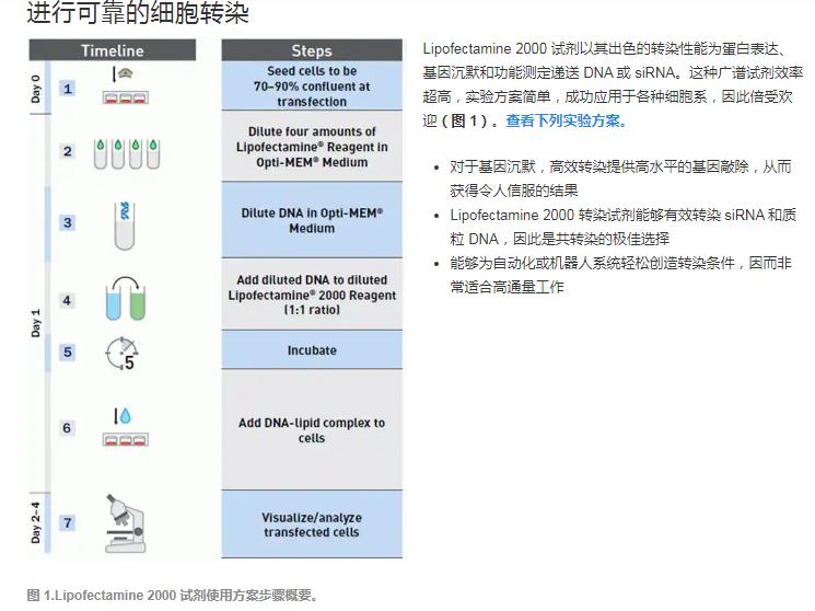 LIP200转染试剂