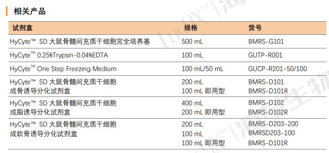 相关产品