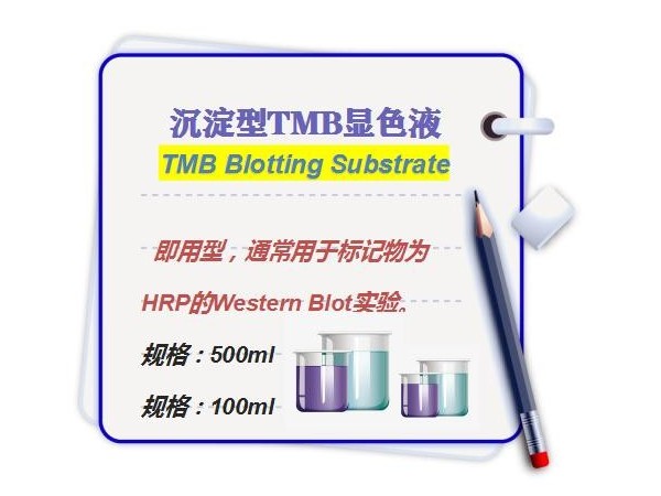 沉淀型单组分-TMB显色液-TMB <i style='color:red'>blot</i>ting Substrate