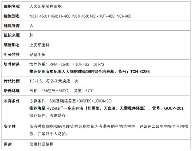 NCI-H460细胞