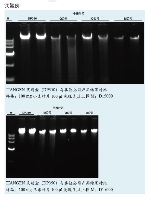 天根DNA提取试剂盒