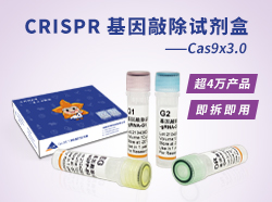 CRISPR<i style='color:red'>基因敲除</i>试剂盒