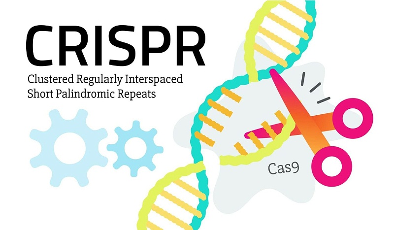 CRISPR9