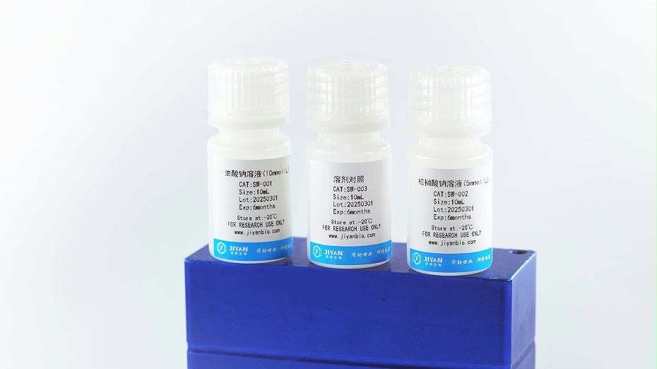游离脂肪酸(FFA)试剂盒(ODK004)-脂肪肝<i style='color:red'>细胞模型构建</i>试剂盒