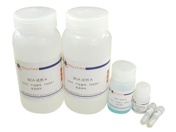 碧云天  BCA蛋白浓度测定试剂盒(增强型)
