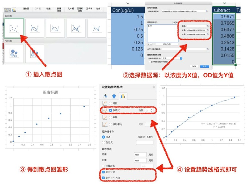 蛋白定量 二项式