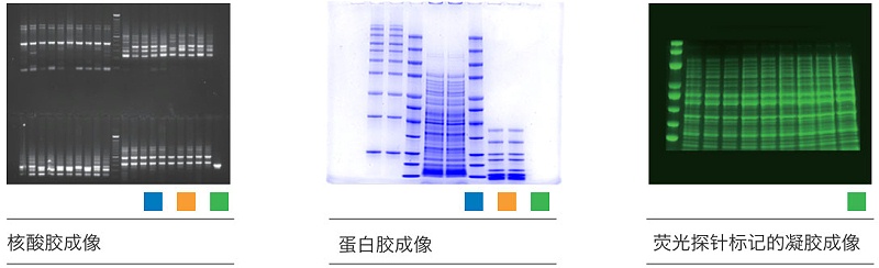 <i style='color:red'>蛋白质纯化</i>实验室-从基础设备到高效分离技术