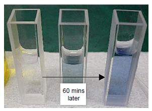 使用紫外分光光度计进行蛋白质定量的方法对比