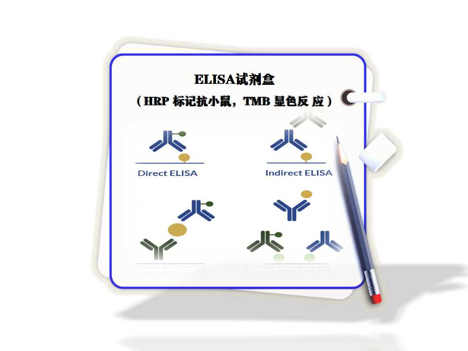 试剂盒elisa​（HRP 标记抗小鼠，TMB 显色反 应）