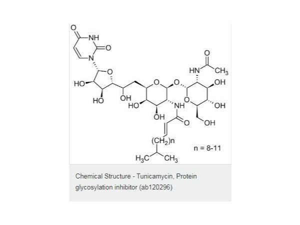 Tunicamycin-糖基化蛋白抑制剂-<i style='color:red'>蛋白酶体抑制剂</i>-ab120296