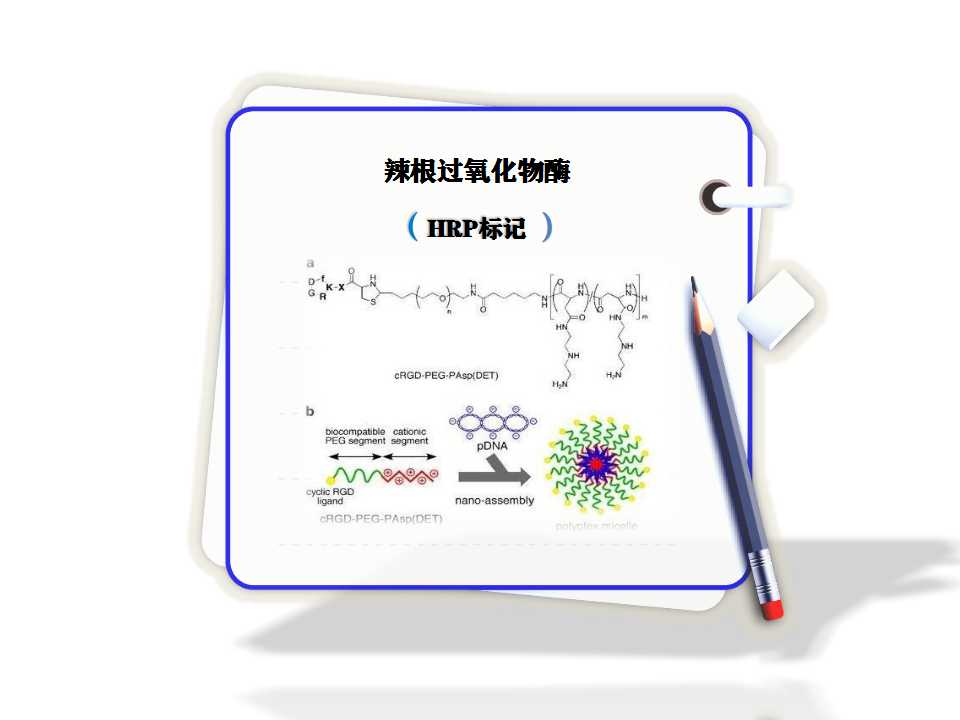 辣根过氧化物酶HRP