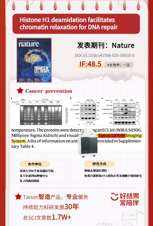 天能化学发光仪