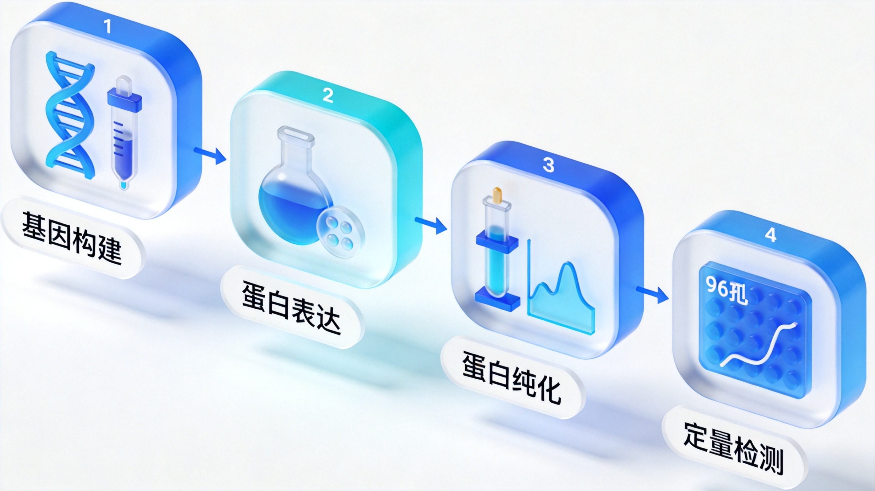 <i style='color:red'>ai蛋白设计湿实验验证</i>需要哪些仪器_从表达纯化到亲和力检测设备清单