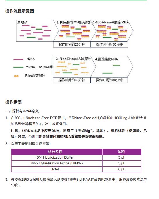 两步法4