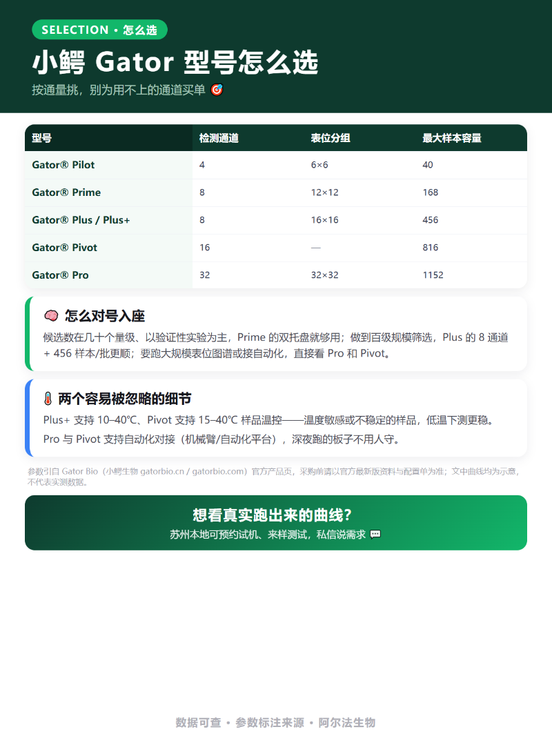 BLI贴图P5