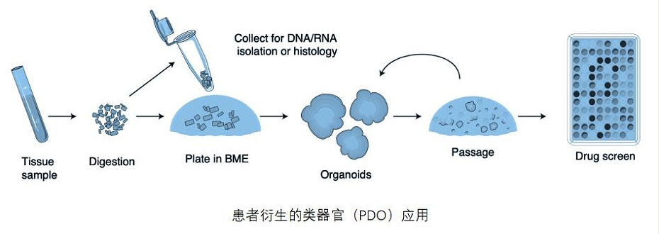 POD应用