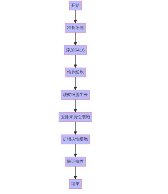 HEK-<i style='color:red'>293t细胞</i>G418筛选的详细步骤和方法