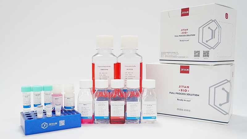 小鼠舌类器官Kit 货号：MOCK001