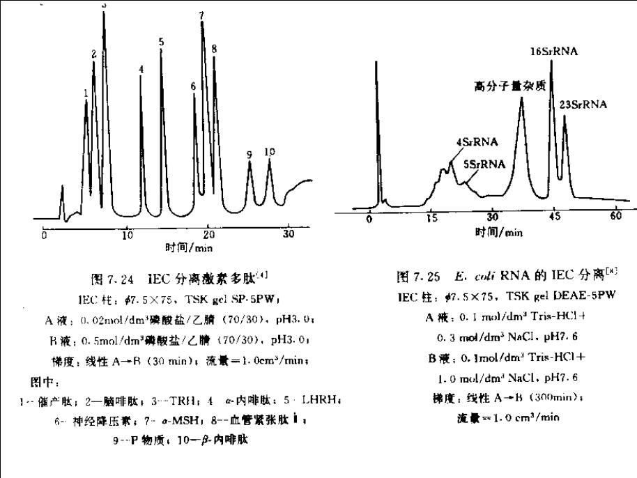 离子交换层析