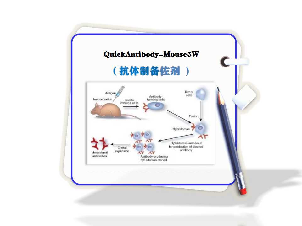 单抗,二抗和多抗的区别是什么