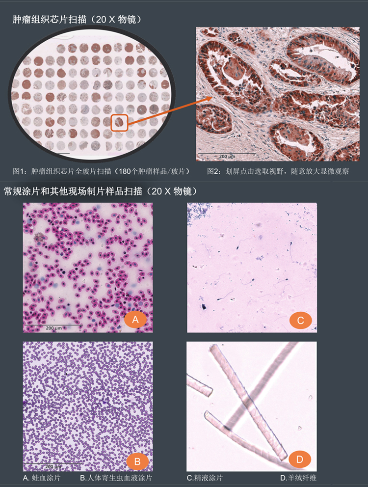 详情页_08